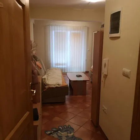 Apartment Vlasic Snesko *